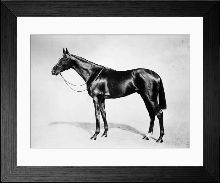 Framed Print : Lemberg, 1911 Framed Print : Lemberg, 1911
