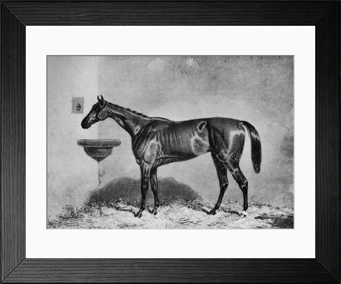 Framed Print : Virago, 1851-1869, (1911) Framed Print : Virago, 1851-1869, (1911)