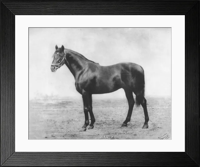 Framed Print : San-Toi, 1911 Framed Print : San-Toi, 1911
