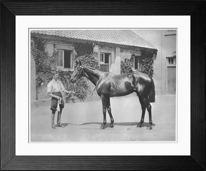 Framed Print : Australian Star, 1911 Framed Print : Australian Star, 1911