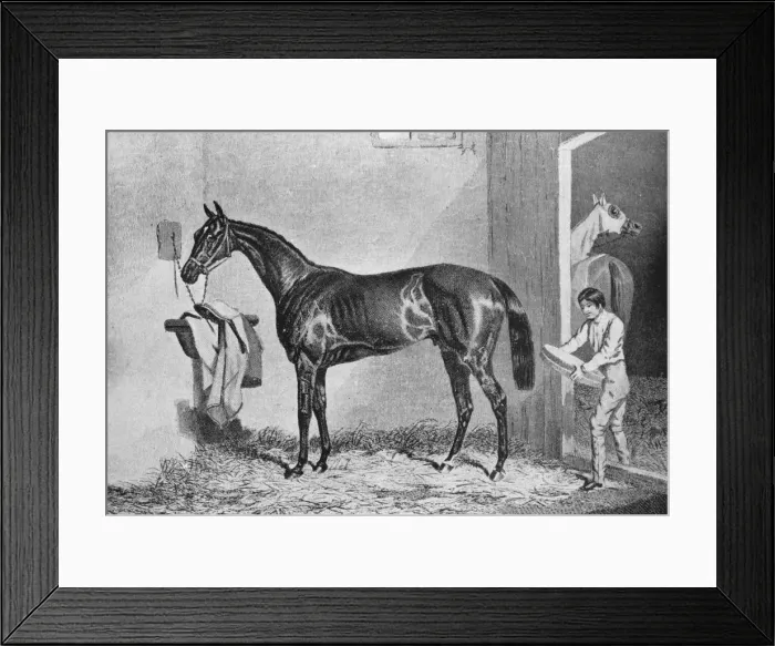 Framed Print : Joe Miller, 19th century, (1911) Framed Print : Joe Miller, 19th century, (1911)