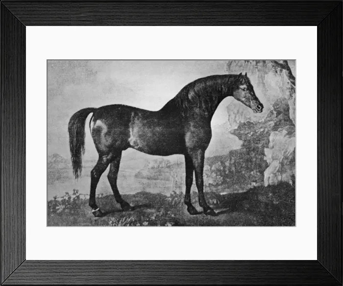 Framed Print : Marske, 1750-1779, (1911) Framed Print : Marske, 1750-1779, (1911)
