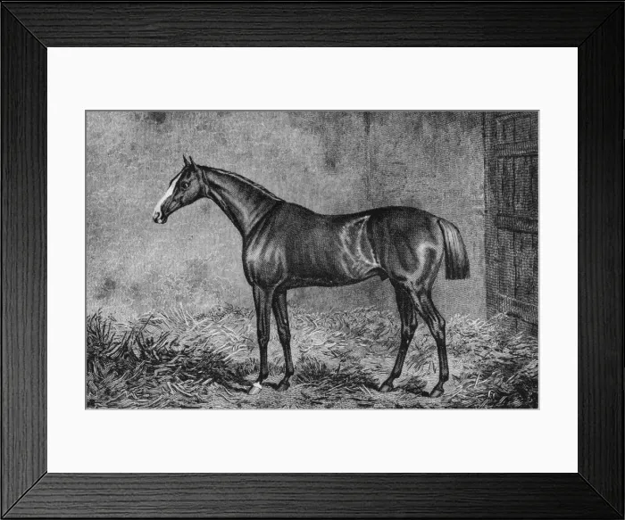 Framed Print : The Colonel, 1825-1847, (1911) Framed Print : The Colonel, 1825-1847, (1911)