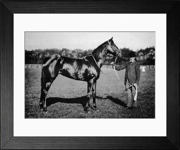 Framed Print : Thais, 1911 Framed Print : Thais, 1911