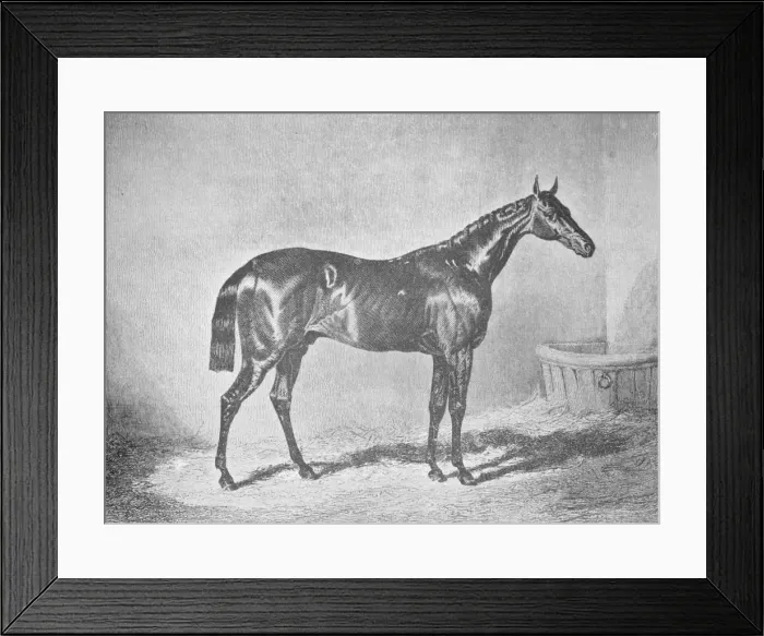 Framed Print : Charles XII, Winner of the St. Leger 1839, (1911) Framed Print : Charles XII, Winner of the St. Leger 1839, (1911)