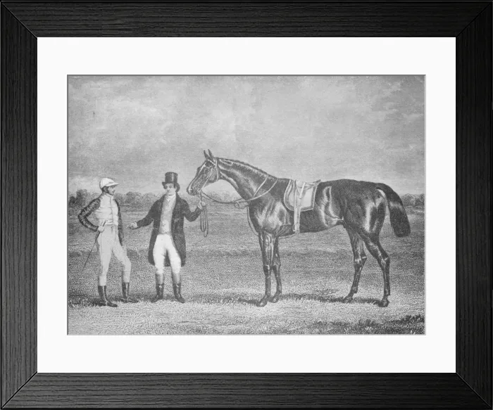 Framed Print : Euclid, second in the St. Leger, 1839, after a dead-heat with Charles XII, c1839, (1911) Framed Print : Euclid, second in the St. Leger, 1839, after a dead-heat with Charles XII, c1839, (1911)