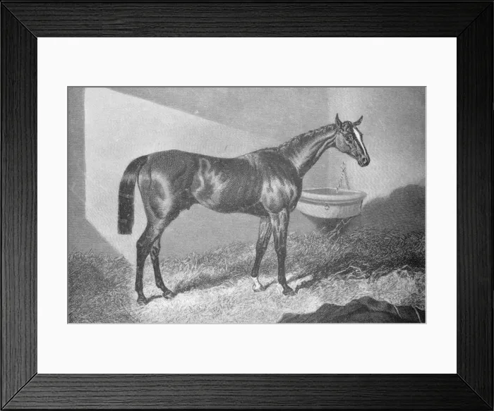 Framed Print : Sir Tatton Sykes, 1842-1860, (1911) Framed Print : Sir Tatton Sykes, 1842-1860, (1911)