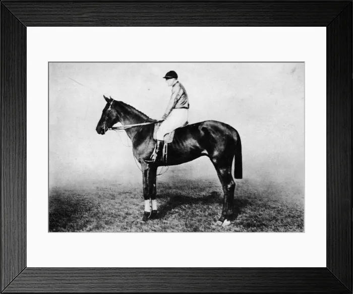 Framed Print : Flying Fox, 1896-1911, (1911) Framed Print : Flying Fox, 1896-1911, (1911)