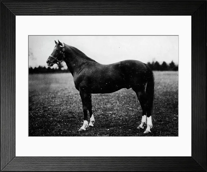 Framed Print : Wildfowler, 19th century, (1911) Framed Print : Wildfowler, 19th century, (1911)