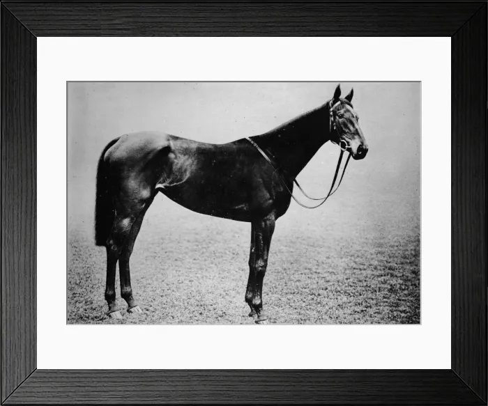 Framed Print : Sceptre, 1899-1926, (1911) Framed Print : Sceptre, 1899-1926, (1911)