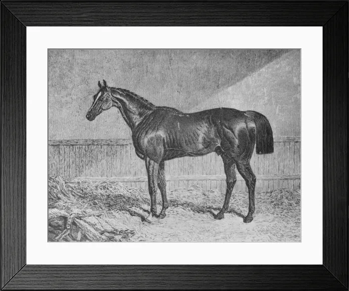 Framed Print : Plenipotentiary, 1831-1854, (1911) Framed Print : Plenipotentiary, 1831-1854, (1911)