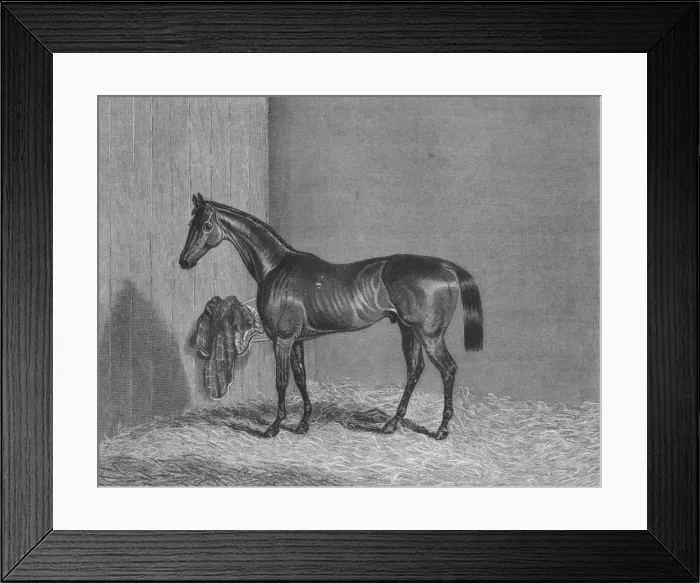 Framed Print : Bloomsbury, 1836-1861, (1911) Framed Print : Bloomsbury, 1836-1861, (1911)