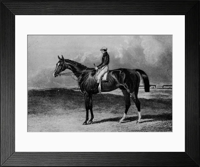 Framed Print : Orlando, c1841-1860, (1911) Framed Print : Orlando, c1841-1860, (1911)