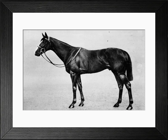 Framed Print : Bachelors Double, 1911 Framed Print : Bachelors Double, 1911