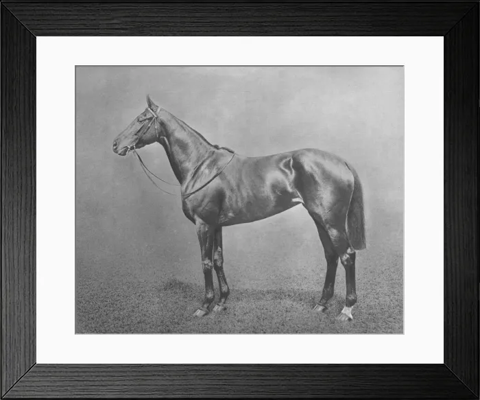 Framed Print : Flair, 1911 Framed Print : Flair, 1911