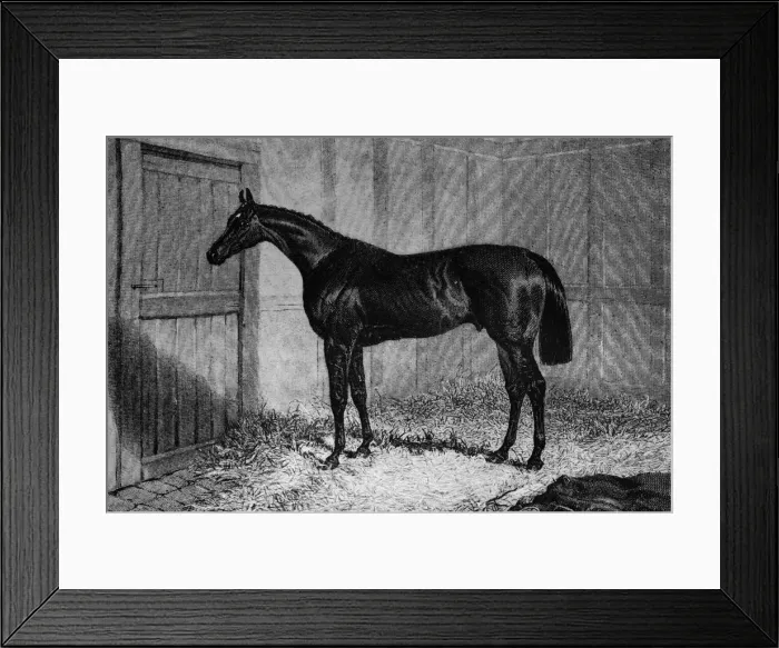 Framed Print : Foig-A-Ballagh, c1841-1860, (1911) Framed Print : Foig-A-Ballagh, c1841-1860, (1911)
