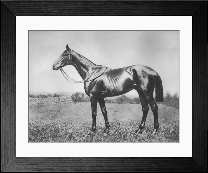 Framed Print : Black Arrow, 1911 Framed Print : Black Arrow, 1911