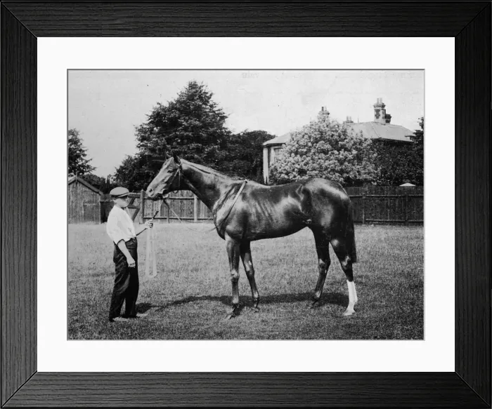 Framed Print : Polar Star, 1911 Framed Print : Polar Star, 1911