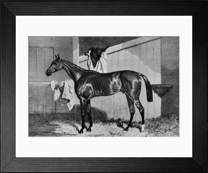 Framed Print : Warlock, 19th century, (1911) Framed Print : Warlock, 19th century, (1911)