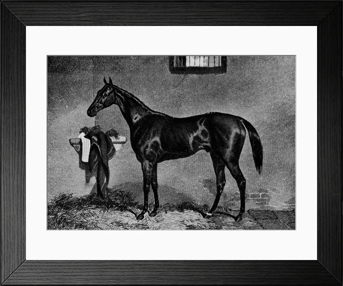Framed Print : Voltigeur, 1847-1874, (1911) Framed Print : Voltigeur, 1847-1874, (1911)