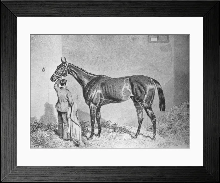 Framed Print : Newminster, 1848-1868, (1911) Framed Print : Newminster, 1848-1868, (1911)