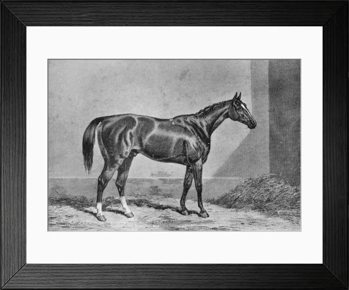 Framed Print : Stockwell, 1849-1871, (1911) Framed Print : Stockwell, 1849-1871, (1911)