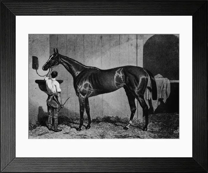 Framed Print : West Australian, 1850-1870, (1911)