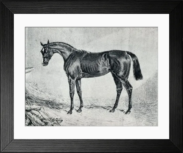 Framed Print : Cyprian, 19th century, (1911) Framed Print : Cyprian, 19th century, (1911)