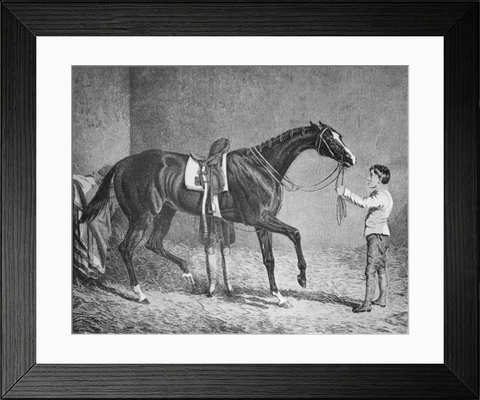 Framed Print : Queen of Trumps, 1832-1843, (1911) Framed Print : Queen of Trumps, 1832-1843, (1911)