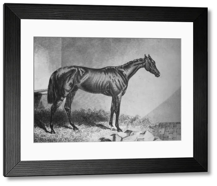 Framed Print : Mendicant, 19th century, (1911) Framed Print : Mendicant, 19th century, (1911)