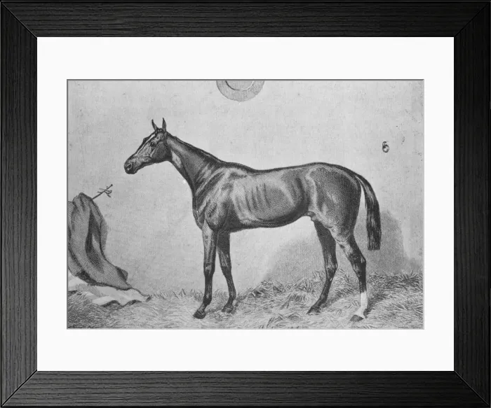 Framed Print : Thormanby, c1860, (1911) Framed Print : Thormanby, c1860, (1911)