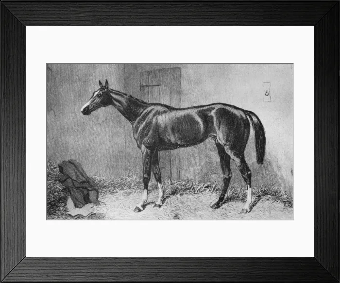 Framed Print : Kettledrum, c1860s, (1911) Framed Print : Kettledrum, c1860s, (1911)