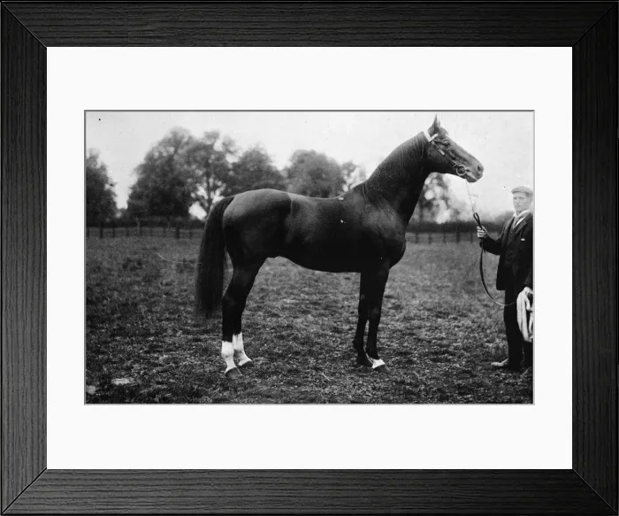 Framed Print : Surefoot, 1911 Framed Print : Surefoot, 1911