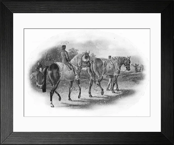 Framed Print : The Next Race, 19th century, (1911) Framed Print : The Next Race, 19th century, (1911)