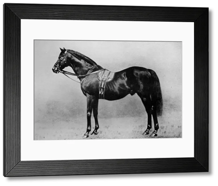 Framed Print : Galopin, 1872-1899, (1911)