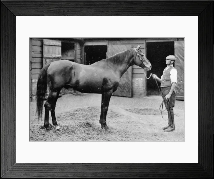 Framed Print : Foxhall, 1880-1904, (1911) Framed Print : Foxhall, 1880-1904, (1911)
