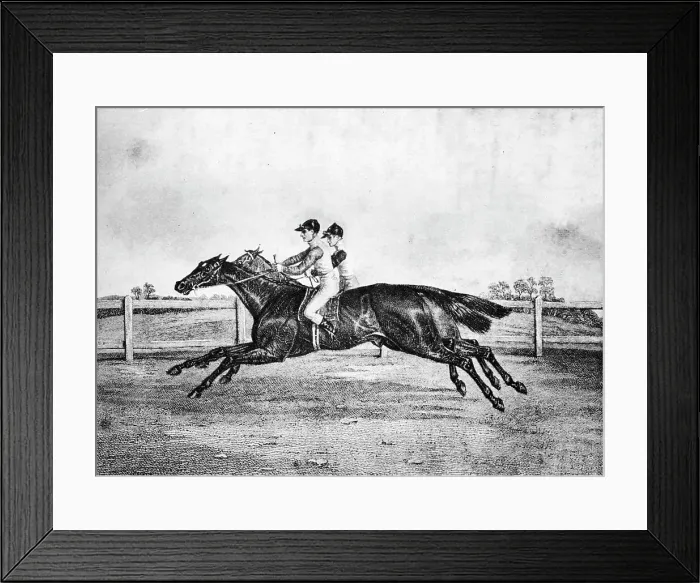 Framed Print : Dead-Heat between Lanercost and Beeswing, 1835-1850, (1911) Framed Print : Dead-Heat between Lanercost and Beeswing, 1835-1850, (1911)