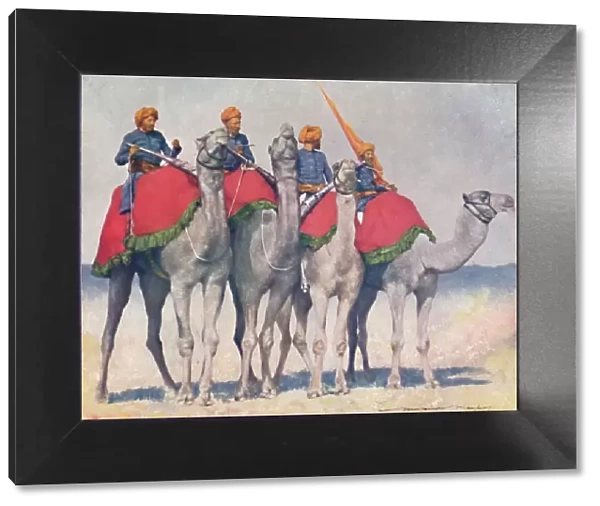 Camelry from Alwar, 1903. Artist: Mortimer L Menpes