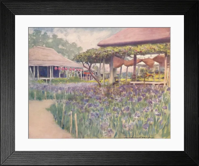 Framed Print : An Iris Garden, 1903. Artist: Mortimer L Menpes Framed Print : An Iris Garden, 1903. Artist: Mortimer L Menpes