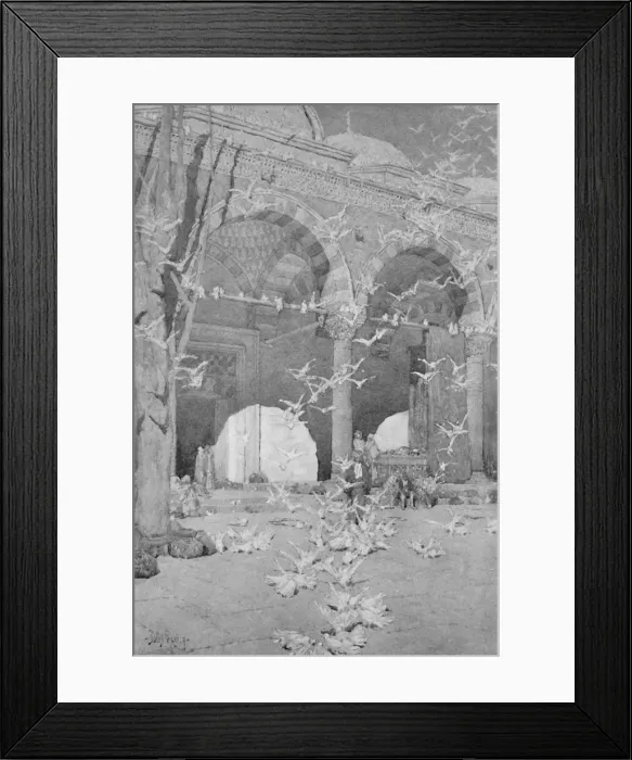 Framed Print : The Courtyard of the Pigeons Mosque, 1913 Framed Print : The Courtyard of the Pigeons Mosque, 1913