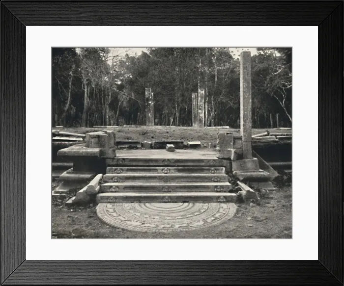 Framed Print : Treppe mit Darstellung von Erdgeistern, wahrscheinlich Zugang zu einem heiligen Bobaum, Anuradhap Framed Print : Treppe mit Darstellung von Erdgeistern, wahrscheinlich Zugang zu einem heiligen Bobaum, Anuradhap