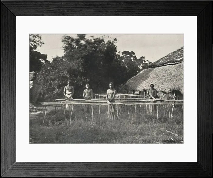 Framed Print : Singhalesische Zimmtarbeiter bei der Arbeit, 1926 Framed Print : Singhalesische Zimmtarbeiter bei der Arbeit, 1926