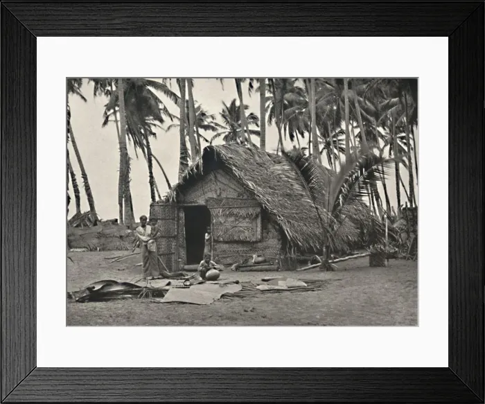 Framed Print : Kokospalmen und Einngeborenenhutte aus Kokosblattern (An den Stammen links, angebundene Blatter geg Framed Print : Kokospalmen und Einngeborenenhutte aus Kokosblattern (An den Stammen links, angebundene Blatter geg