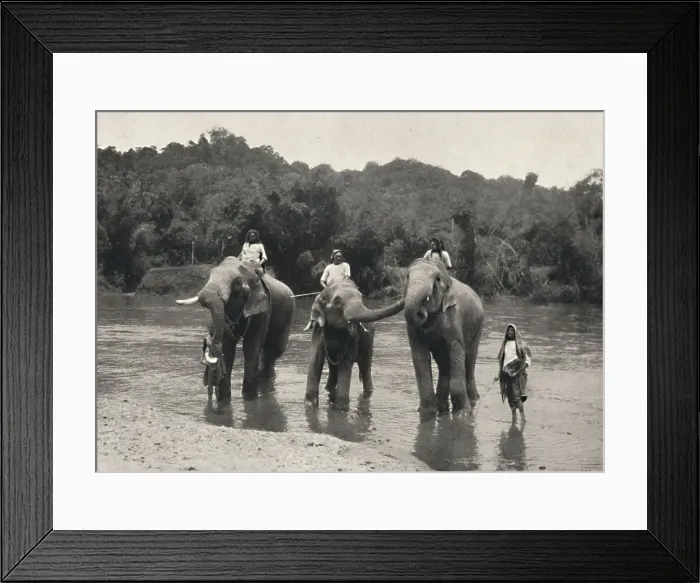 Framed Print : Elefanten im Bade (Mahaaliganga), 1926 Framed Print : Elefanten im Bade (Mahaaliganga), 1926