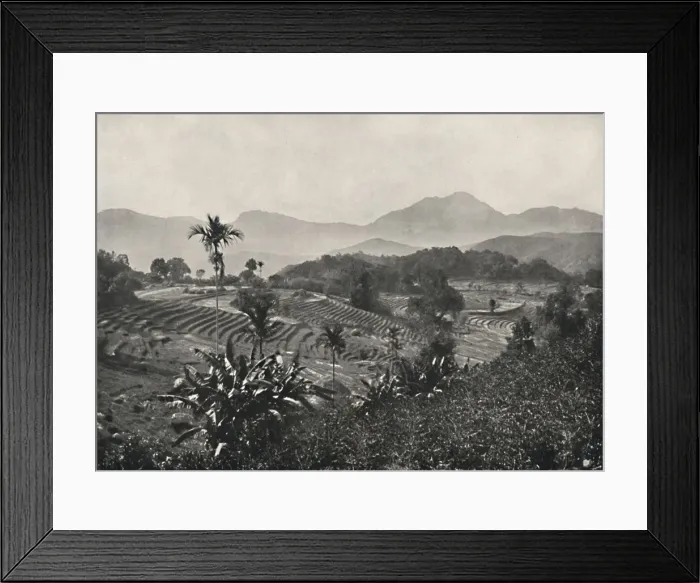 Framed Print : Reisfelder in Terrasen angelegt, 1926 Framed Print : Reisfelder in Terrasen angelegt, 1926