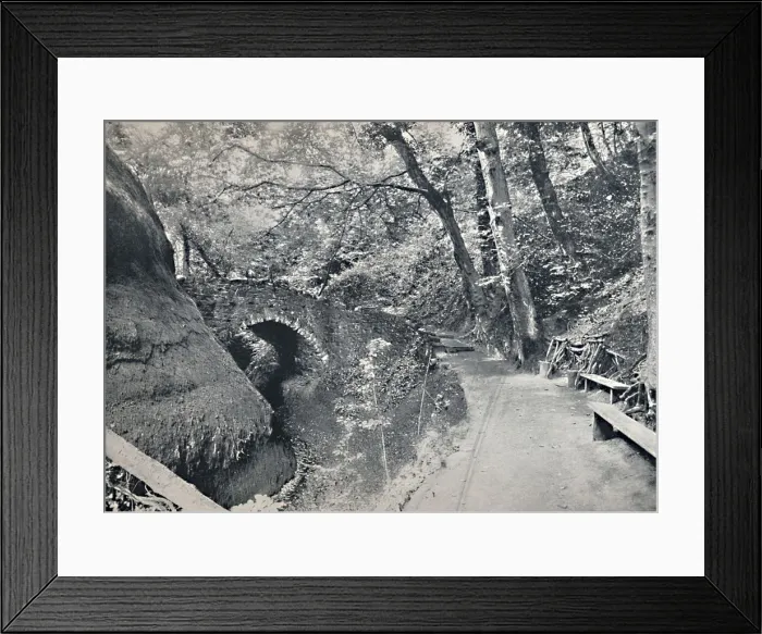Framed Print : Shanklin - The Chine, 1895 Framed Print : Shanklin - The Chine, 1895