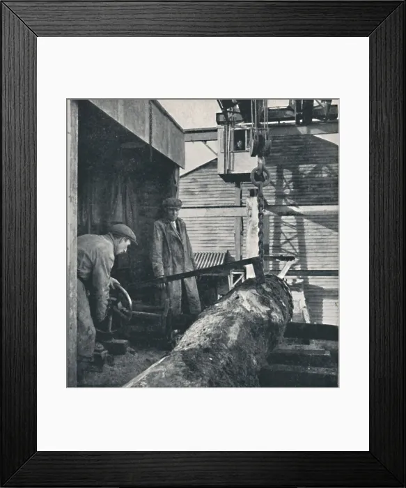 Framed Print : Sawing timber, 1941. Artist: Cecil Beaton Framed Print : Sawing timber, 1941. Artist: Cecil Beaton