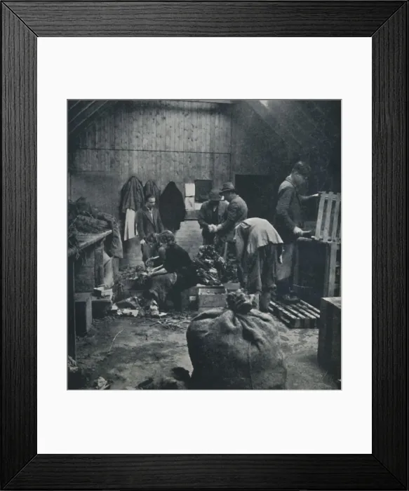 Framed Print : Vegetables for market, 1941. Artist: Cecil Beaton Framed Print : Vegetables for market, 1941. Artist: Cecil Beaton