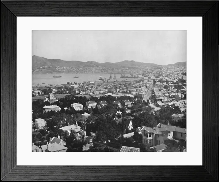 Framed Print : Wellington, 19th century Framed Print : Wellington, 19th century