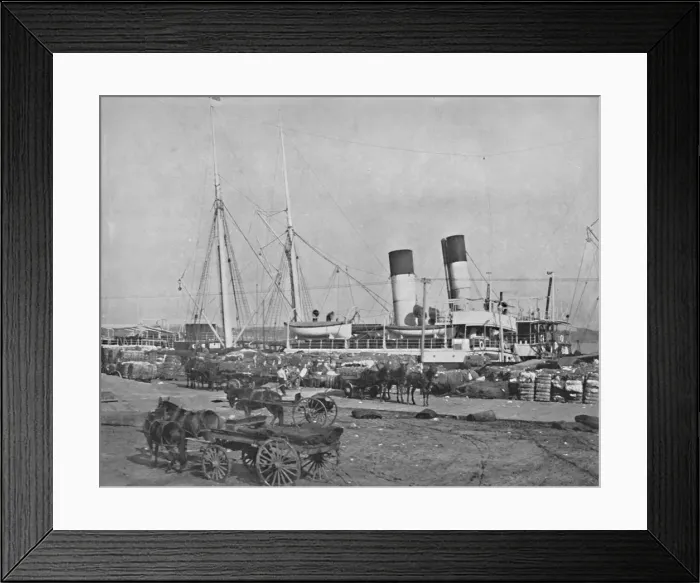 Framed Print : A Cotton Steamer at New Orleans, 19th century Framed Print : A Cotton Steamer at New Orleans, 19th century